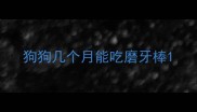 狗狗几个月能吃磨牙棒