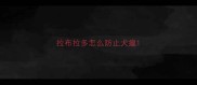 拉布拉多怎么防止犬瘟