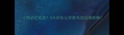 小狗必打疫苗5大好处让你家毛孩远离疾病