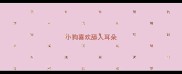 小狗喜欢舔人耳朵