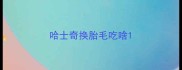 哈士奇换胎毛吃啥