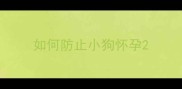 如何防止小狗怀孕