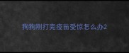 狗狗刚打完疫苗受惊怎么办