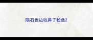 陨石色边牧鼻子粉色