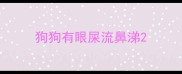 狗狗有眼屎流鼻涕