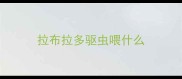 拉布拉多驱虫喂什么