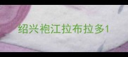 绍兴袍江拉布拉多
