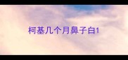 柯基几个月鼻子白