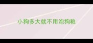 小狗多大就不用泡狗粮