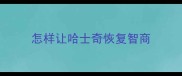 怎样让哈士奇恢复智商