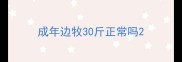 成年边牧30斤正常吗