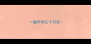 一般怀孕几个月生