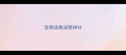 宠物消毒液那种好