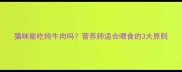猫咪能吃炖牛肉吗营养师适合喂食的3大原则