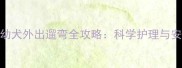 哈士奇幼犬外出遛弯全攻略科学护理与安全指南