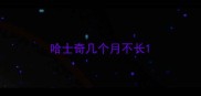 哈士奇几个月不长