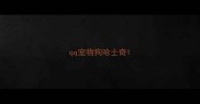qq宠物狗哈士奇