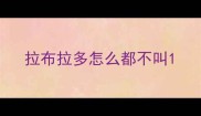 拉布拉多怎么都不叫