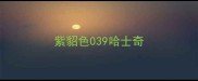 紫貂色039哈士奇