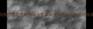 狗狗打疫苗的顺序和注意事项全幼犬必看打针指南