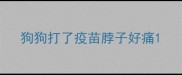 狗狗打了疫苗脖子好痛