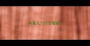 柯基几个月会看家