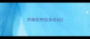 济南拉布拉多论坛