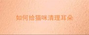 如何给猫咪清理耳朵