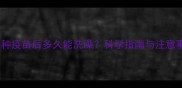 猫咪接种疫苗后多久能洗澡科学指南与注意事项全