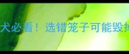 哈士奇笼子尺寸全攻略养大型犬必看选错笼子可能毁掉你的毛孩子附实测尺寸表