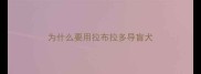 为什么要用拉布拉多导盲犬