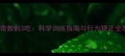 哈士奇数到3吃科学训练指南与行为矫正全攻略