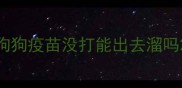 狗狗疫苗没打能出去溜吗