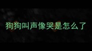 狗狗叫声像哭是怎么了