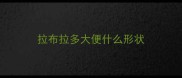 拉布拉多大便什么形状