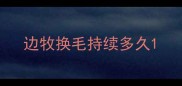 边牧换毛持续多久