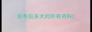 拉布拉多犬的所有资料