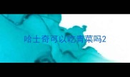 哈士奇可以吃青菜吗