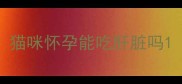 猫咪怀孕能吃肝脏吗