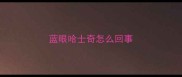 蓝眼哈士奇怎么回事