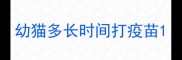幼猫多长时间打疫苗