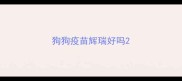 狗狗疫苗辉瑞好吗