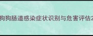 狗狗肠道感染症状识别与危害评估