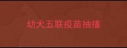 幼犬五联疫苗抽搐