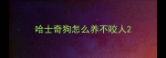 哈士奇狗怎么养不咬人