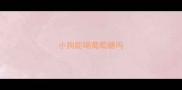小狗能喝葡萄糖吗