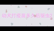 幼犬打疫苗多久后驱虫