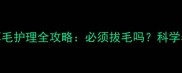 哈士奇耳毛护理全攻略必须拔毛吗科学养护指南