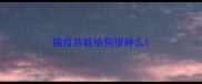 猫疫苗能给狗接种么