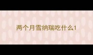 两个月雪纳瑞吃什么